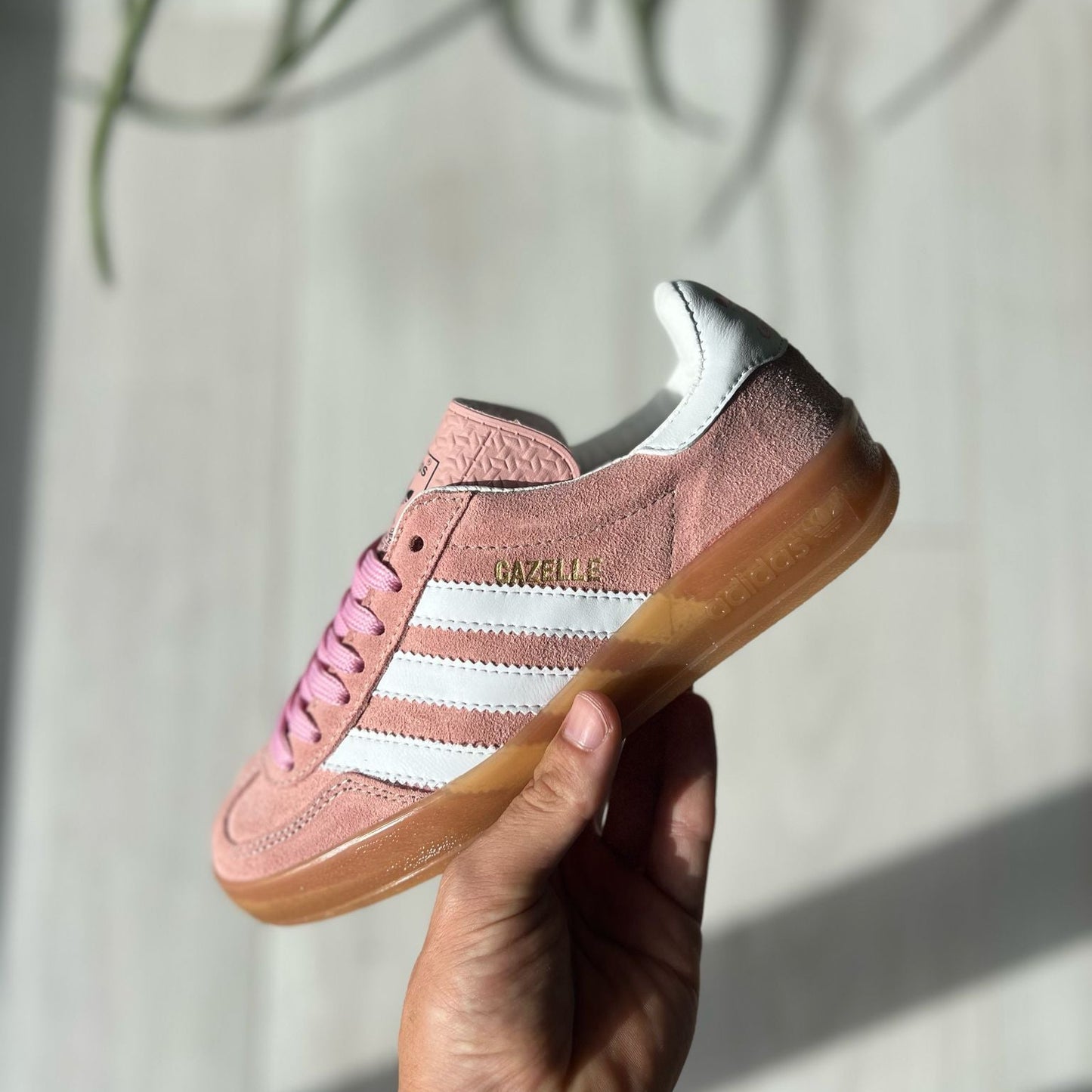 Zapatillas A. Gazelle sin plataforma ( Dos colores)