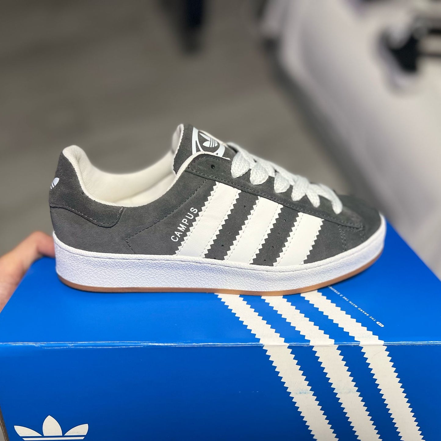 Zapatillas A. Campus premium (Varios colores)